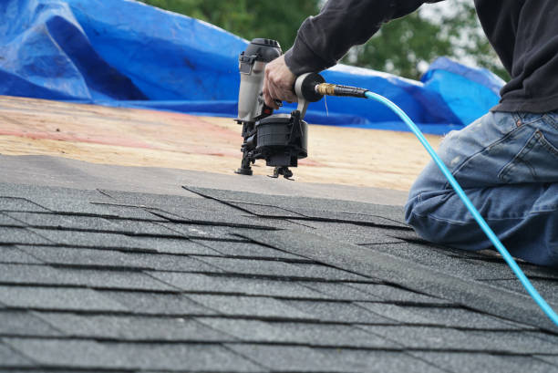Best Roof Waterproofing Services  in Ome, GA