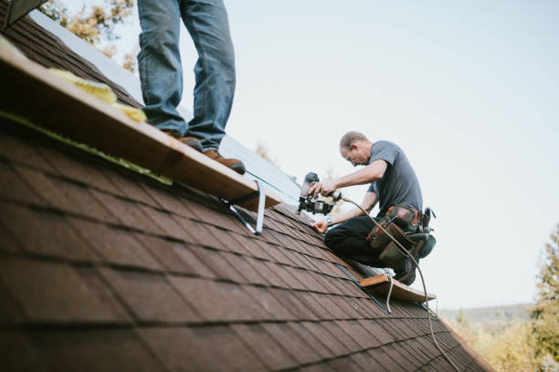 Best Gutter Installation and Roofing  in Ome, GA