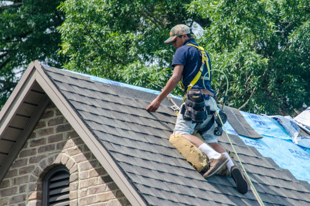 Best Roof Gutter Cleaning  in Ome, GA